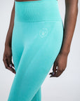 Stride Seamless Legging - SNO